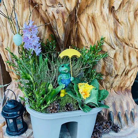 Deja Vu - Tatranska *