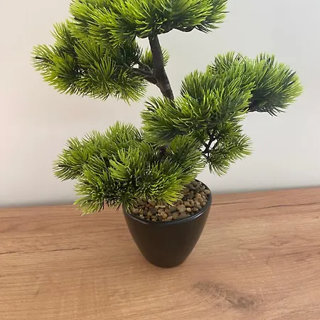 Deja Vu - Tatranska شقة Štrba