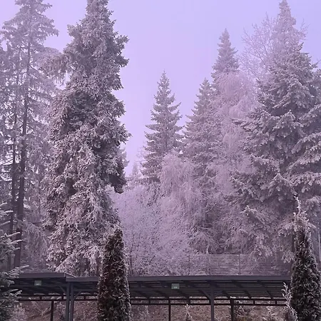 Deja Vu - Tatranska 아파트 *