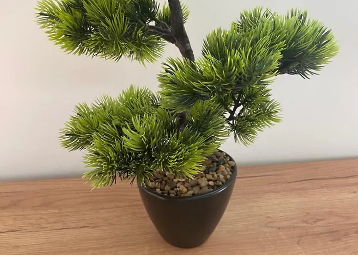 Deja Vu - Tatranska アパート Štrba