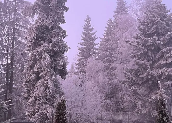 Deja Vu - Tatranska アパート *